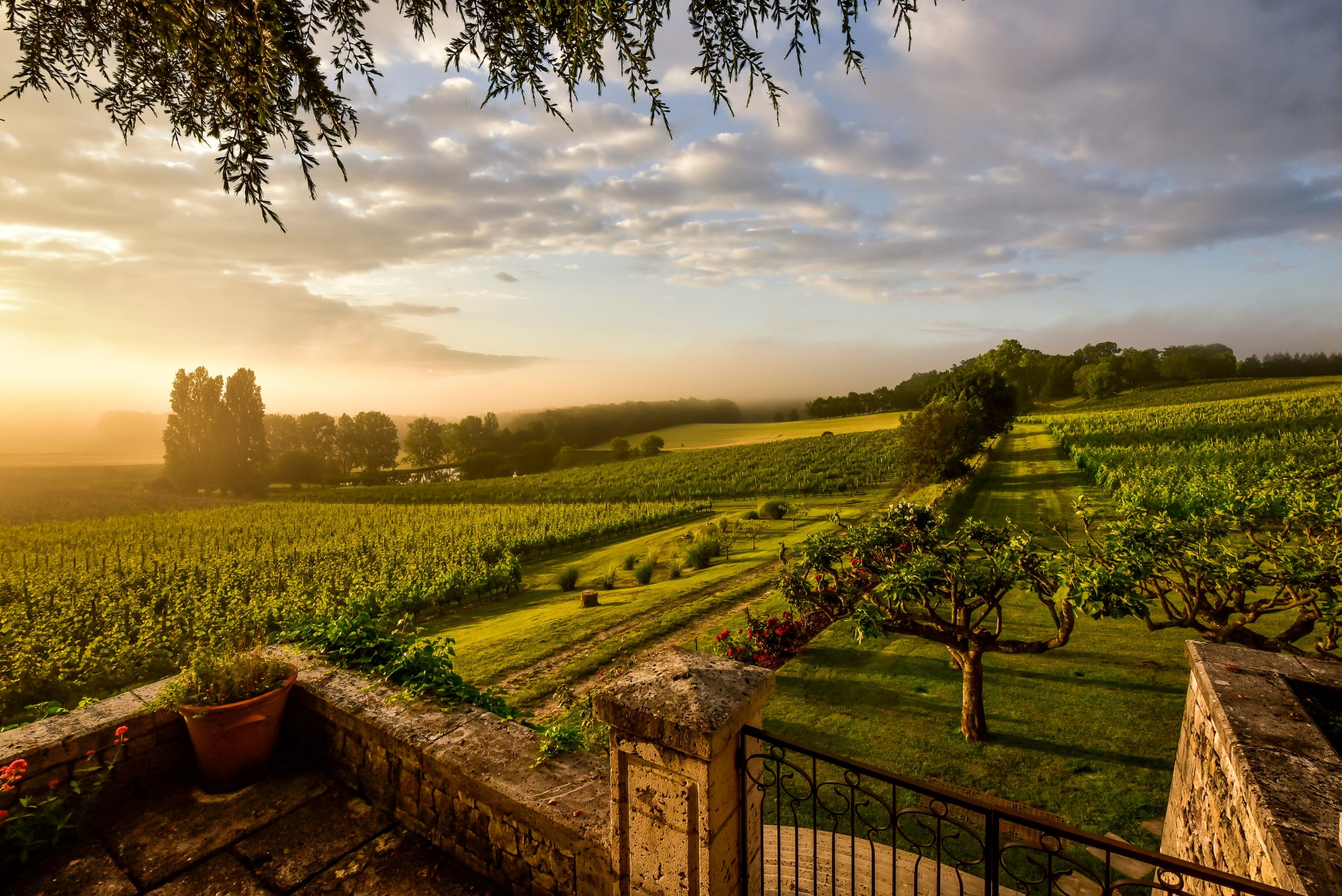 Château Thénac un lieu hors du temps, une géographie rare.